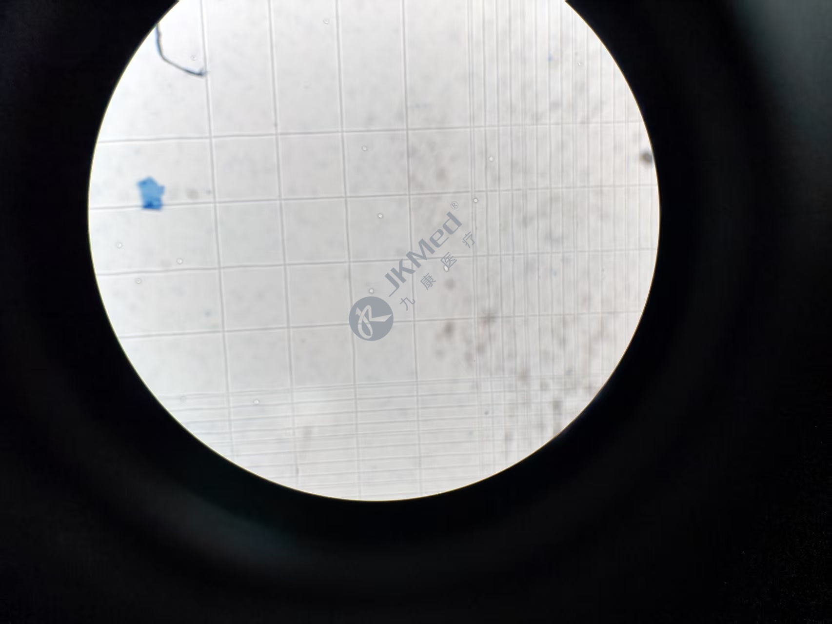 分子生物學檢測服務